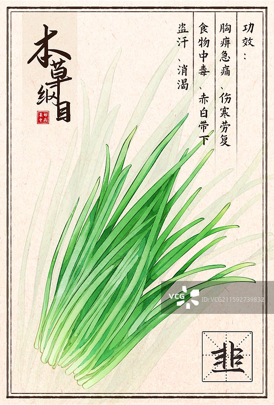 手绘本草纲目插画菜部韭菜图片素材
