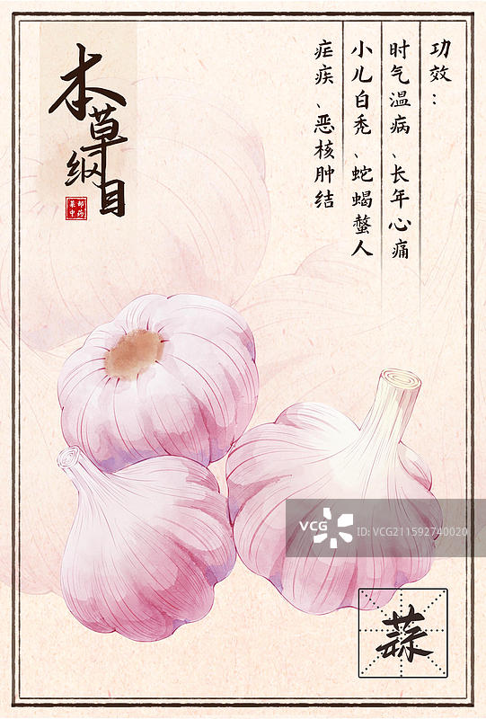 手绘本草纲目插画菜部大蒜图片素材