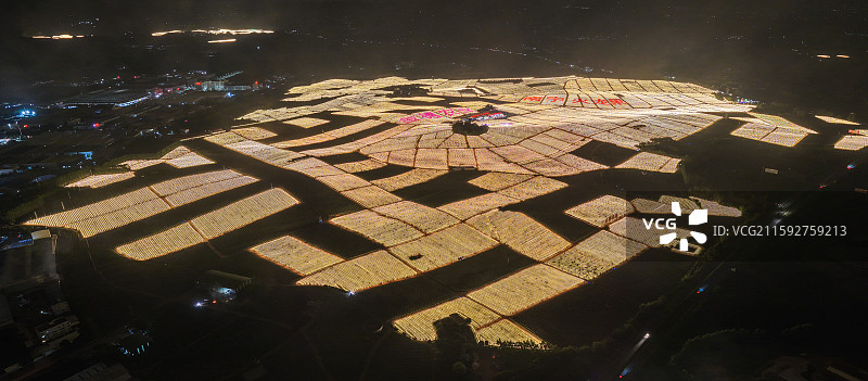 广西南宁隆安县火龙果基地璀璨灯海图片素材