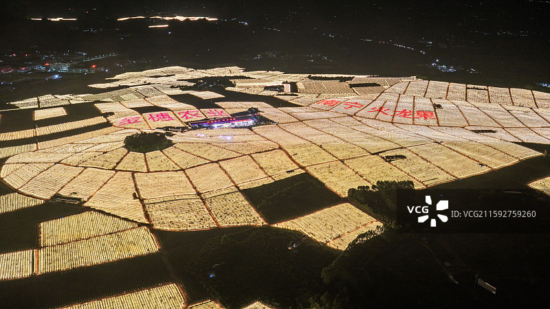 广西南宁隆安县火龙果基地璀璨灯海图片素材