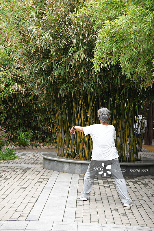 公园晨练的老年人图片素材