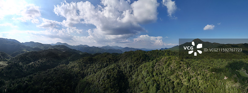 漳州华安贡鸭山壮丽的山林全景图片素材