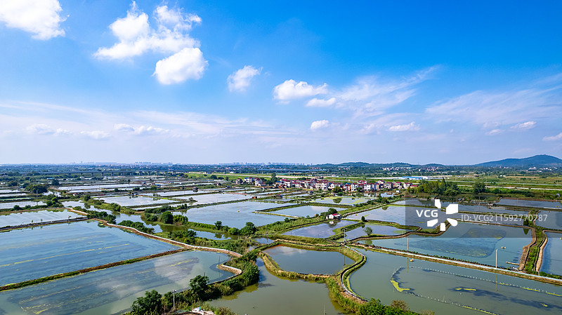 高淳万亩蟹塘养殖图片素材