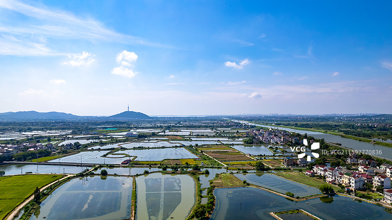 高淳万亩蟹塘养殖图片素材