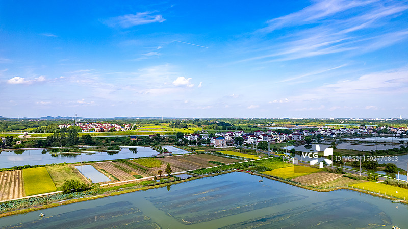 高淳万亩蟹塘养殖图片素材