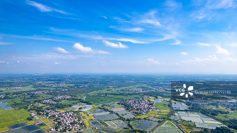 高淳万亩蟹塘养殖图片素材