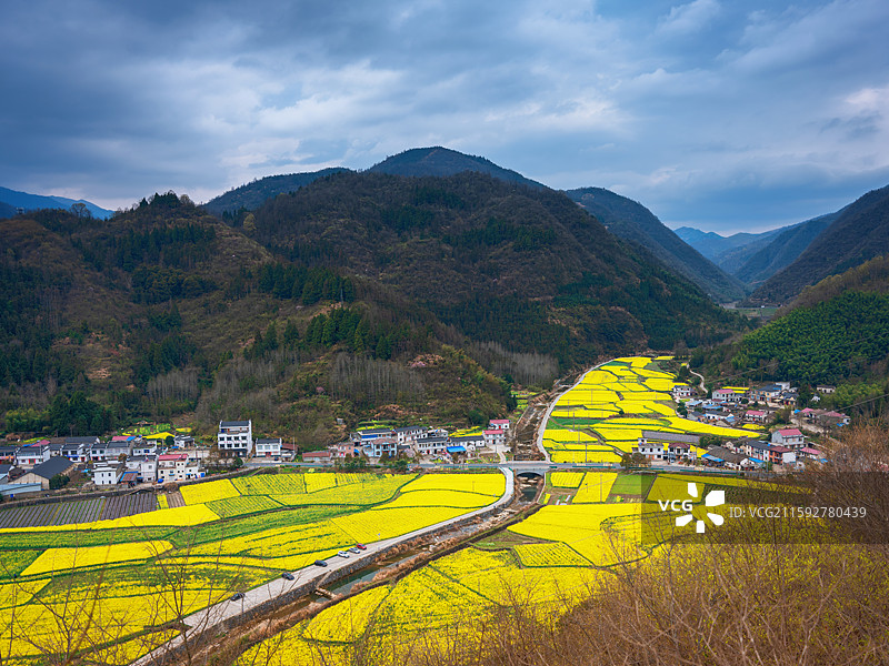 池州石台高路亭油菜花海图片素材