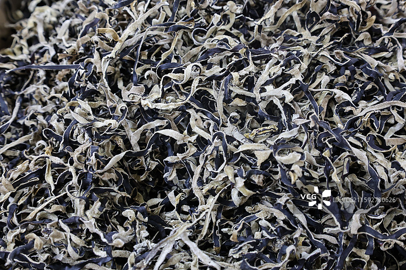 大兴安岭地区生产的各种蘑菇晒晾灵芝猴头菇松茸毛尖蘑榛蘑花菇香菇等组图图片素材