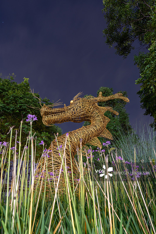 夜晚中的龙王摆件图片素材