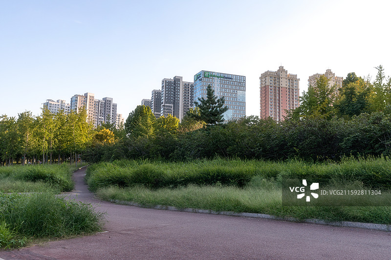 城市中的树木和建筑物顶着天空图片素材