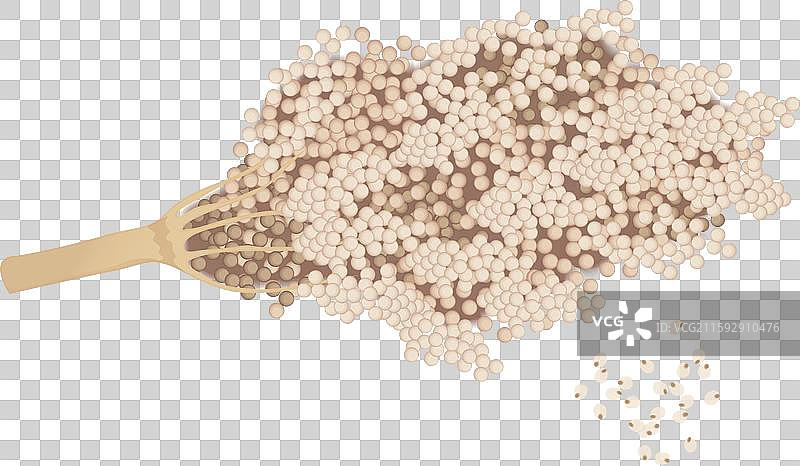 高粱植物图片素材