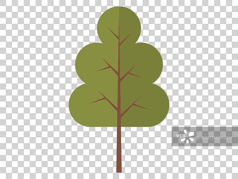 树的概念象征着生命图片素材