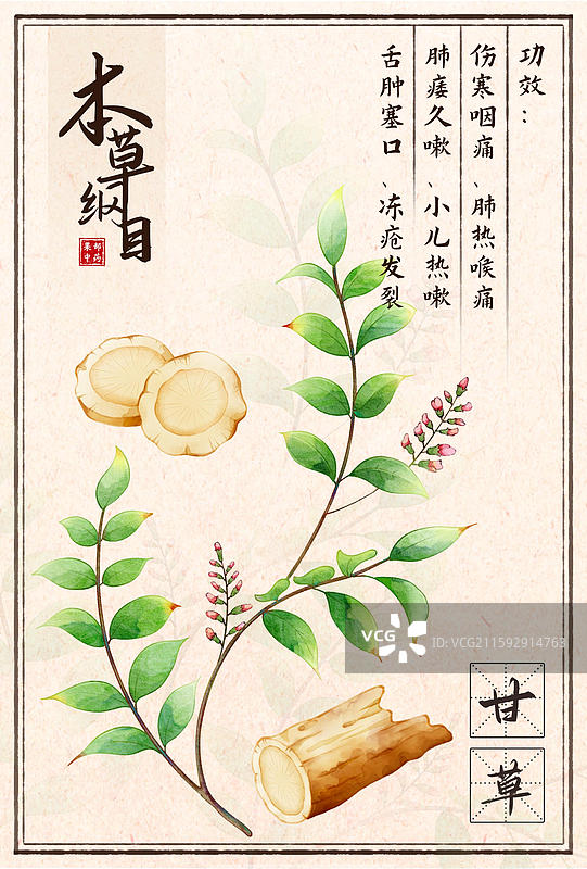 手绘本草纲目插画草部甘草图片素材