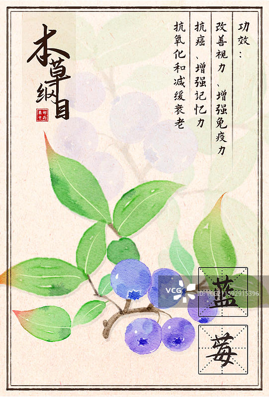 手绘插画本草纲目果部蓝莓图片素材