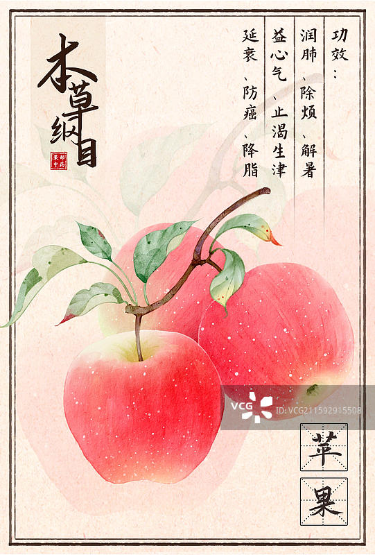 手绘插画本草纲目果部苹果图片素材