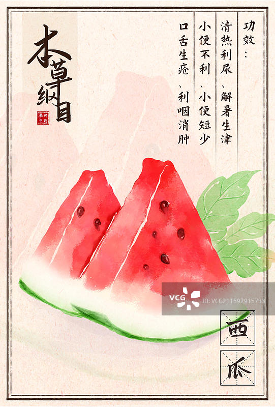 手绘插画本草纲目果部西瓜图片素材