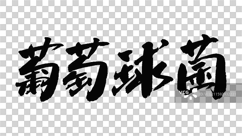 中国手写毛笔字体，葡萄球菌图片素材