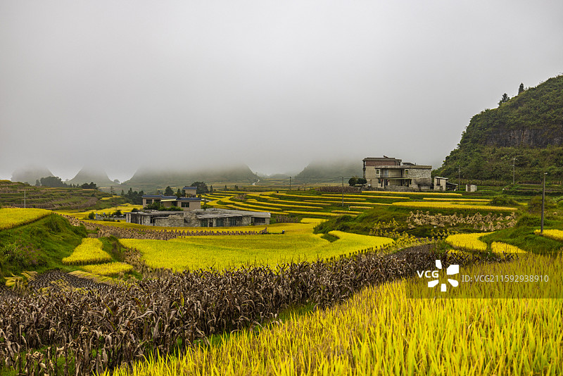 龙里大新梯田图片素材