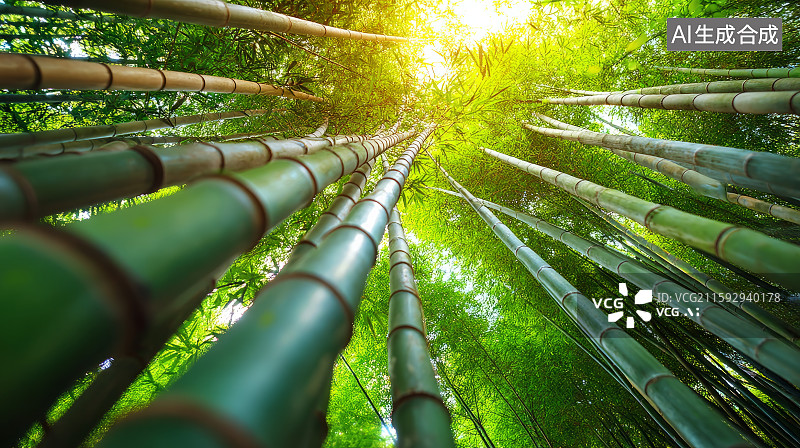 【AI数字艺术】茂密竹林中翠绿的竹子特写图片素材