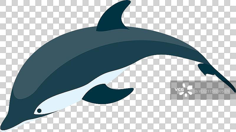 三维等距平面图集：各种类型的海豚图片素材