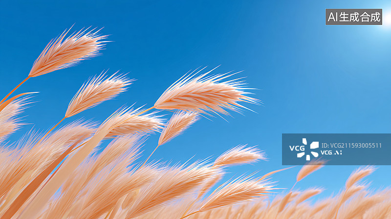 【AI数字艺术】麦田插画图片素材