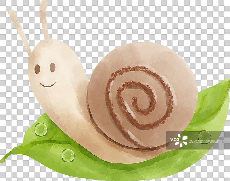 可爱的卡通蜗牛在绿色叶子上的水彩画图片素材