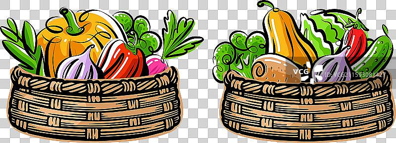 农场有机蔬菜放在柳条篮中图片素材