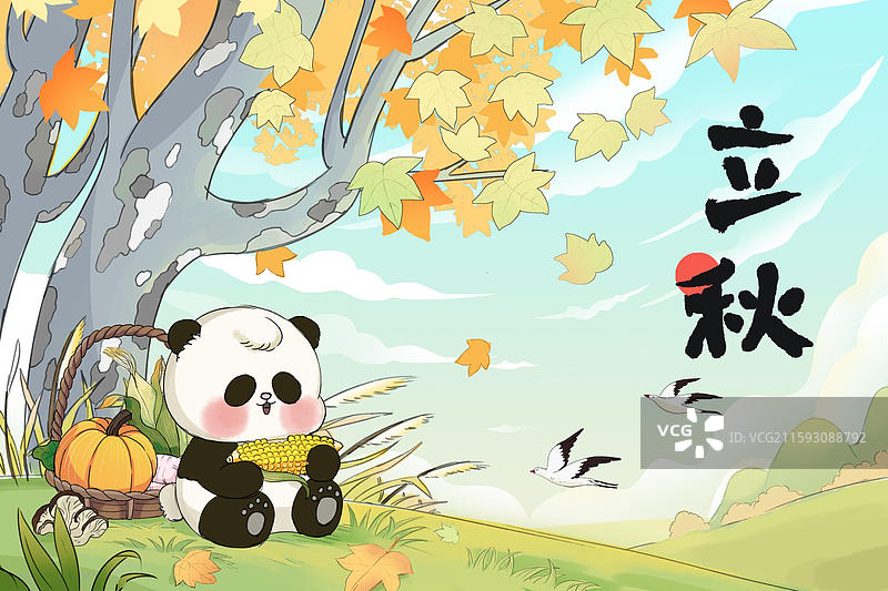 节气立秋图片素材