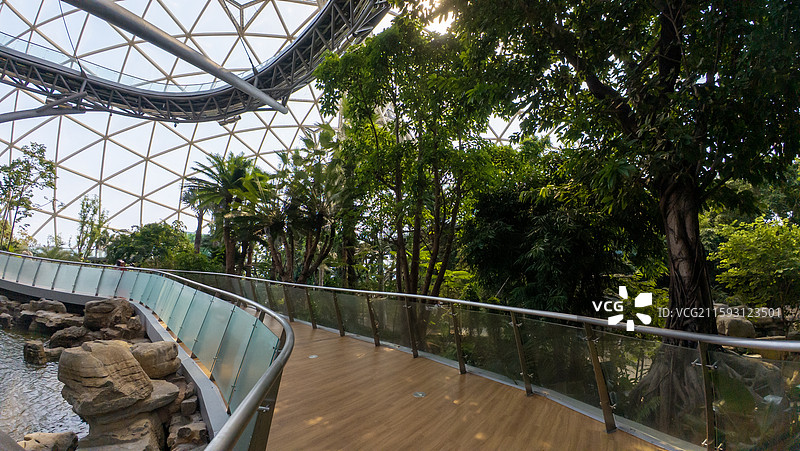 东方伊甸园室内植物景观图片素材