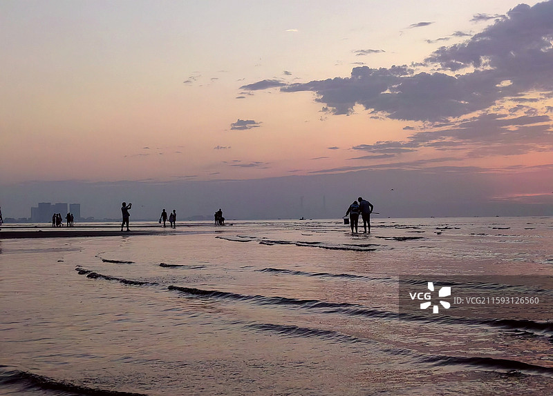 晨起赶海人——拍摄于辽宁葫芦岛东戴河图片素材