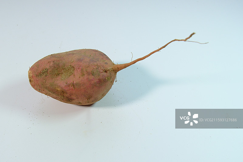 白色背景下新鲜出土的沙地红薯。一块两块红皮红薯山药。高清设计素材图片素材