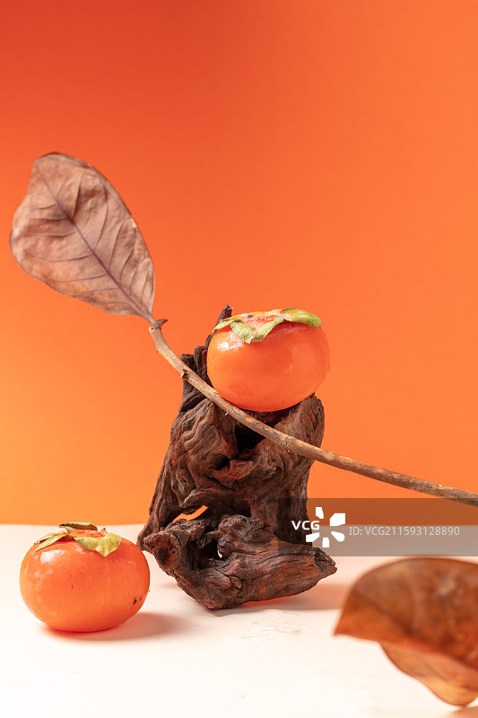 橙色背景柿子图片素材
