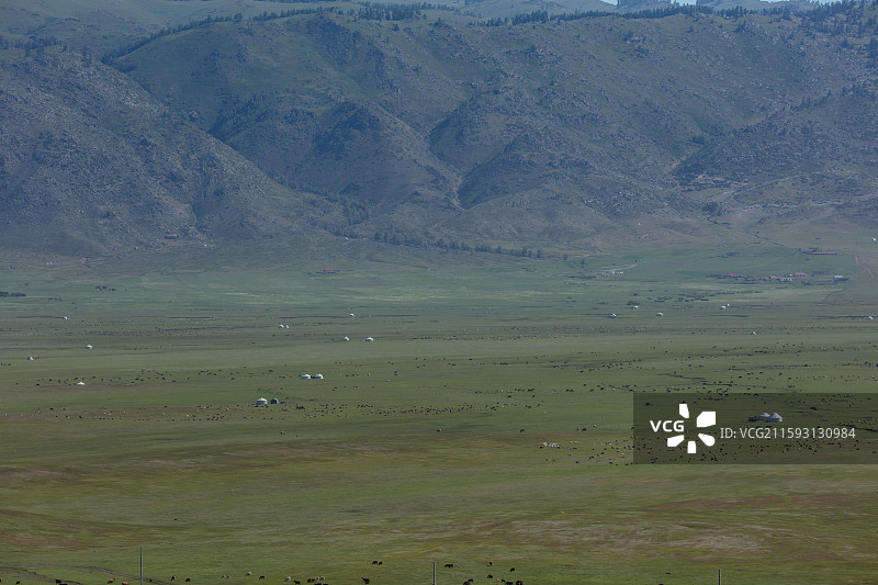 新疆草原牧场与毡房远景图片素材