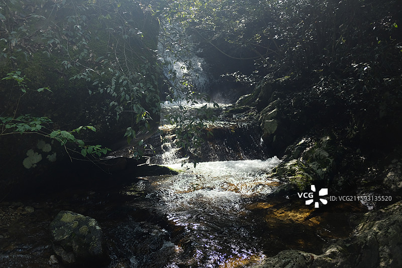 钱江源森林公园溪流图片素材