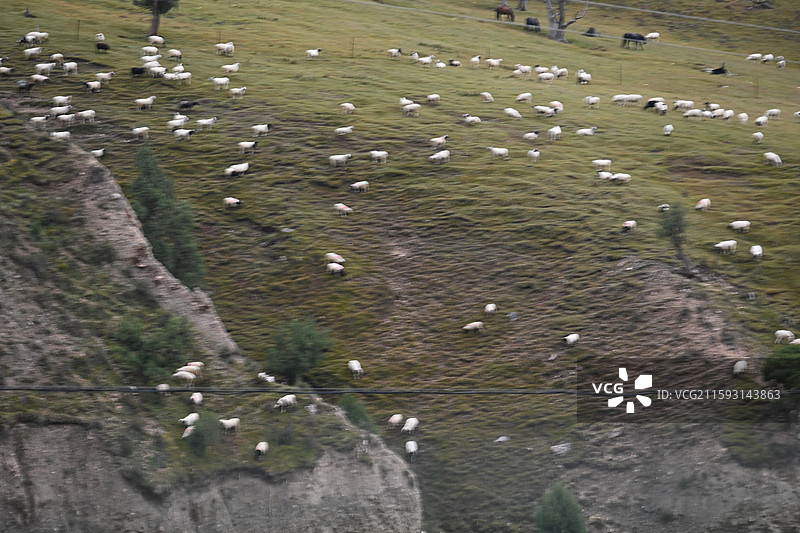 德令哈-柏树山图片素材