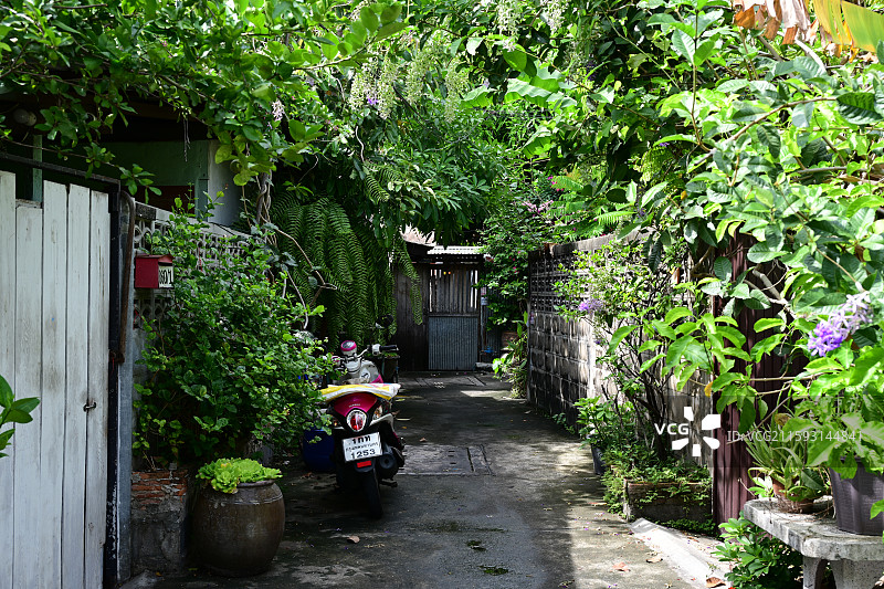 曼谷，水门寺，大佛下的众生图片素材