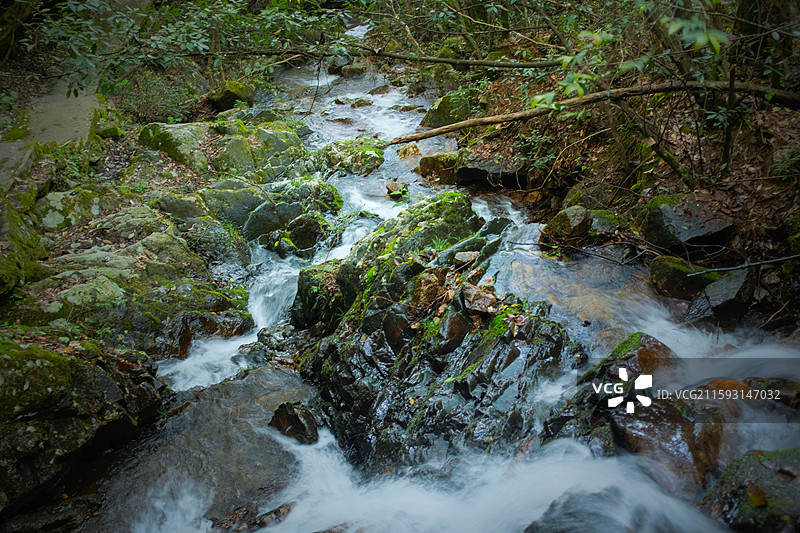 钱江源森林公园溪流图片素材