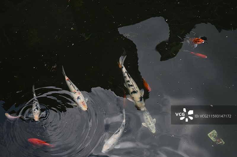 福建莆田仙游菜溪岩图片素材