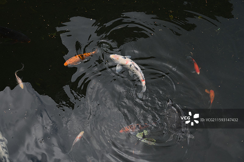 福建莆田仙游菜溪岩图片素材