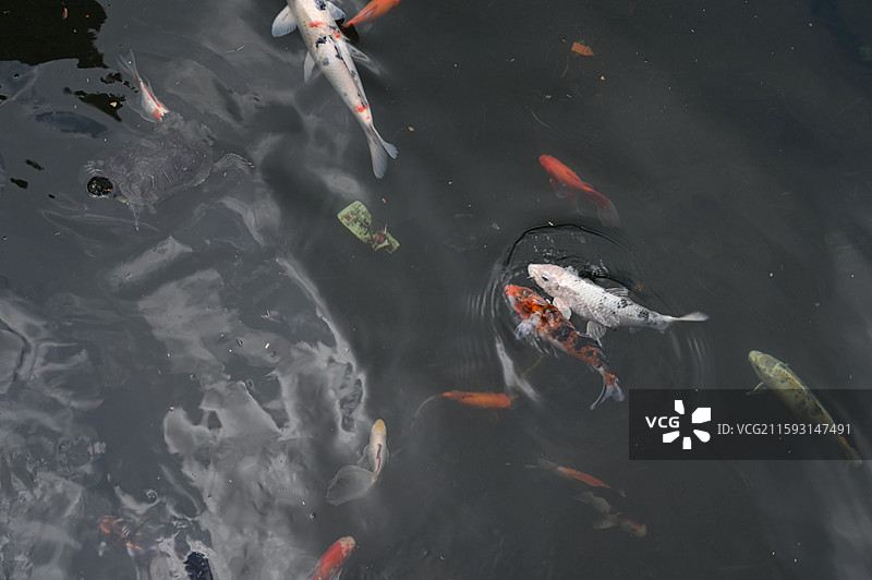 福建莆田仙游菜溪岩图片素材