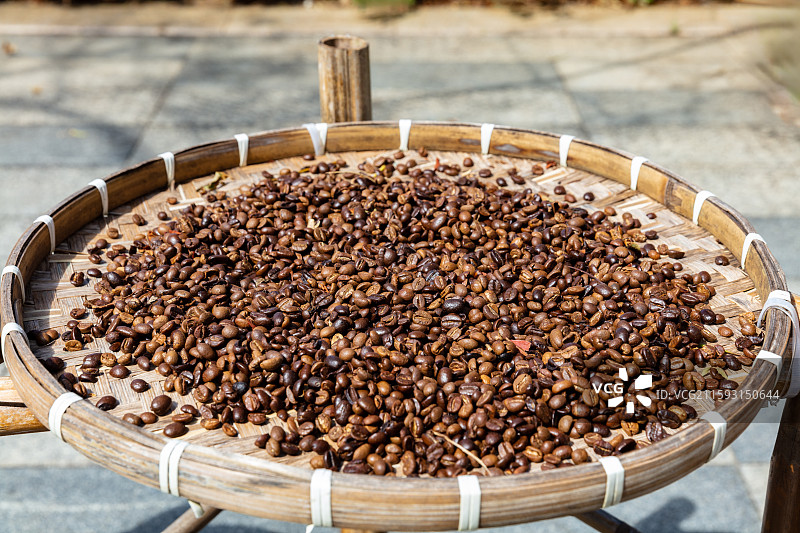 簸箕里晾晒中的咖啡豆图片素材