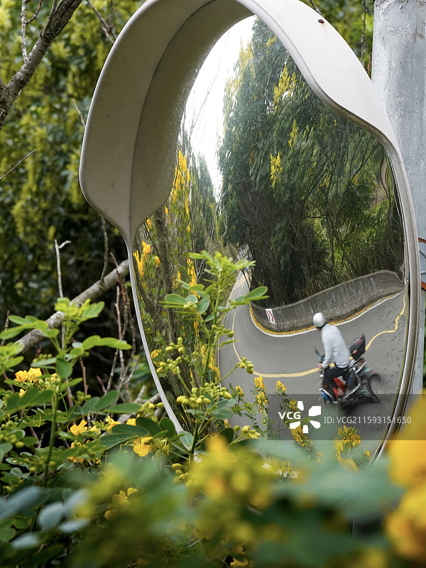花丛中的道路反光镜图片素材