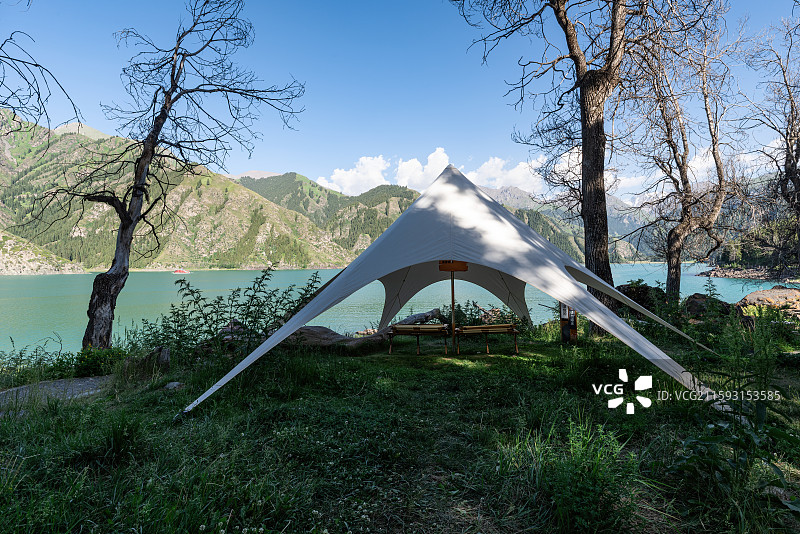 新疆森林中的天幕帐篷户外露营图片素材