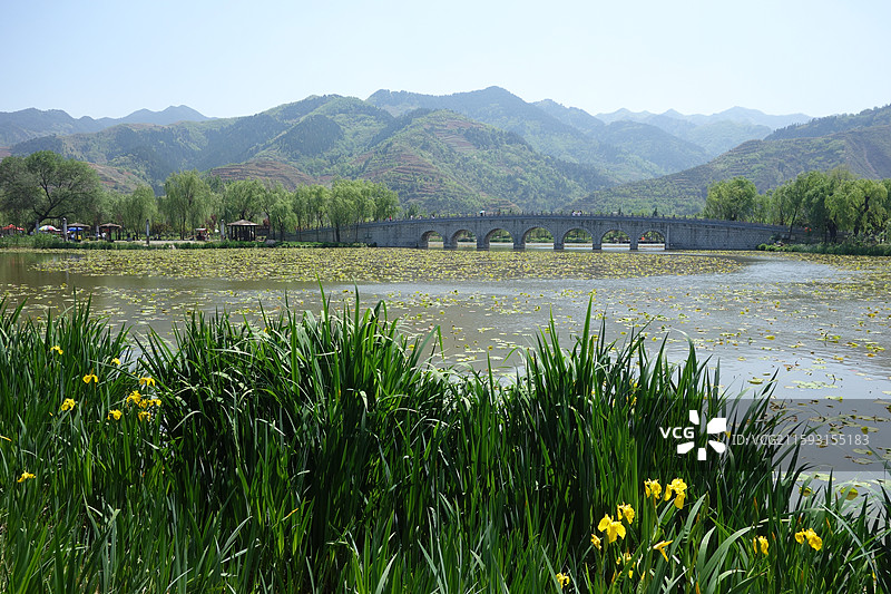陕西省商洛市丹凤县棣花镇棣花古镇千亩荷塘二龙拱桥二龙桥图片素材