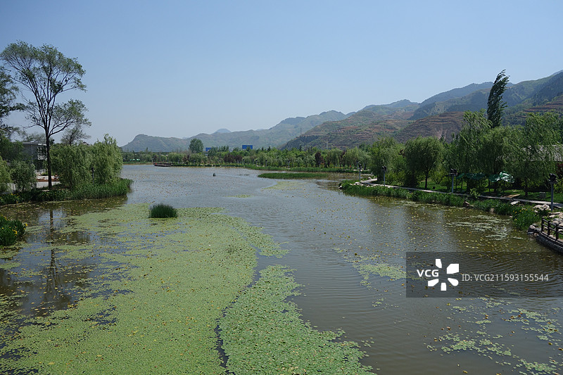 陕西省商洛市丹凤县棣花镇棣花古镇千亩荷塘图片素材