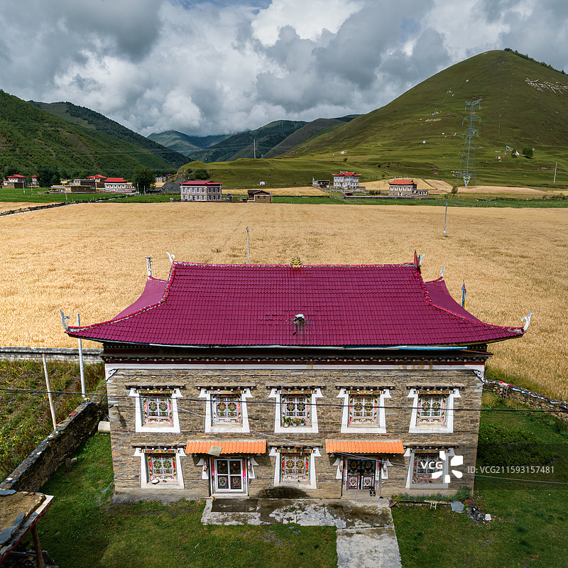 航拍高原藏区藏式建筑与金色青稞田图片素材