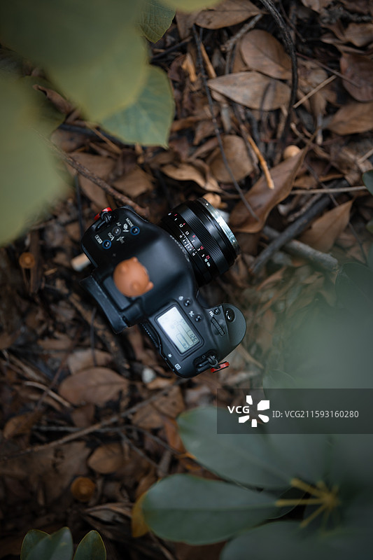 佳能1Ds图片素材