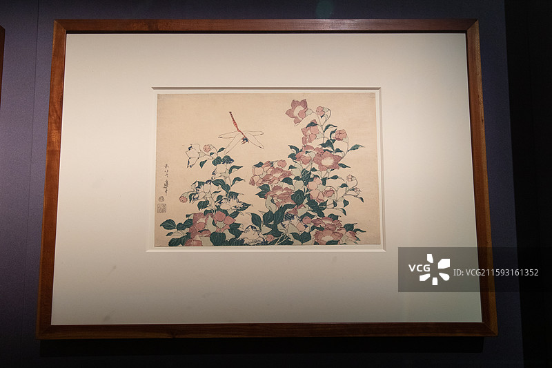 故宫乐林泉中外园林文化展风铃草与蜻蜓图片素材