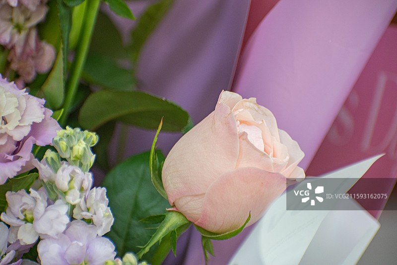 大捧鲜花、一大束鲜花、生日鲜花、玫瑰、百合花图片素材