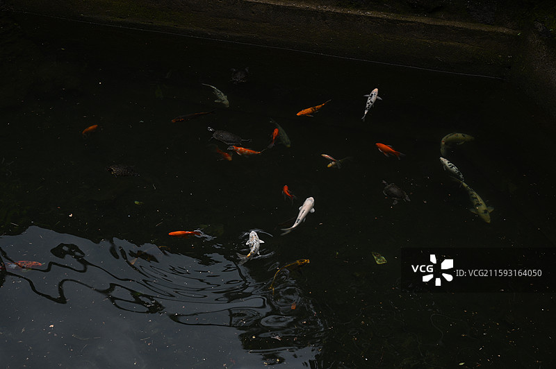 福建莆田仙游菜溪岩图片素材